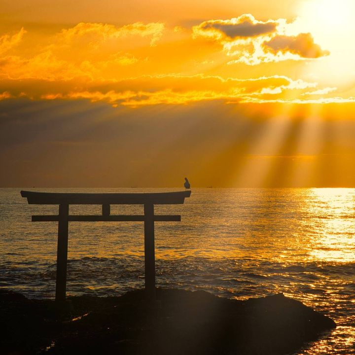 鳥居と夕日
