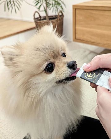 【福岡県福岡市】「薬に頼らないケア」を探る！愛犬・愛猫と楽しむ「MIRANEST POP-UP CAFE」オープン