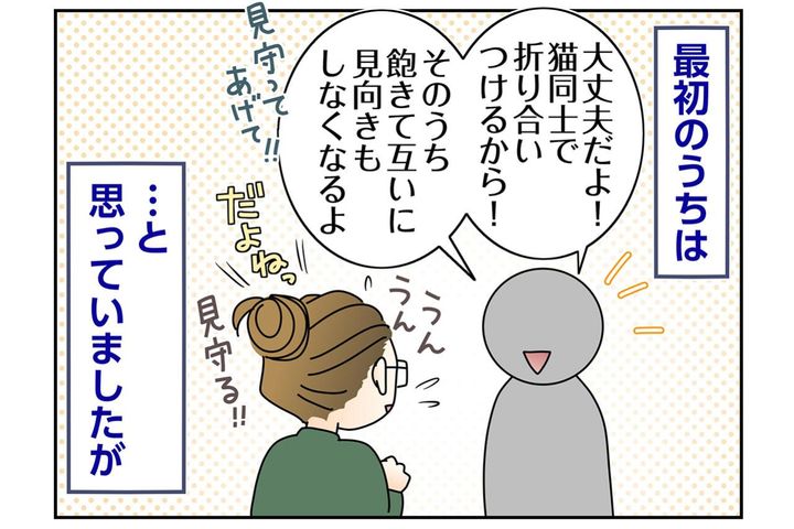 【マンガ・老猫日誌＃68】目には見えない猫たちの絆〜思い出の老猫日誌・桃姐と小論