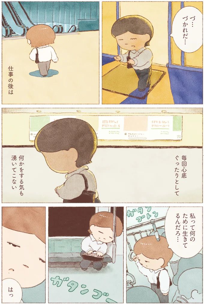 16155157.webp