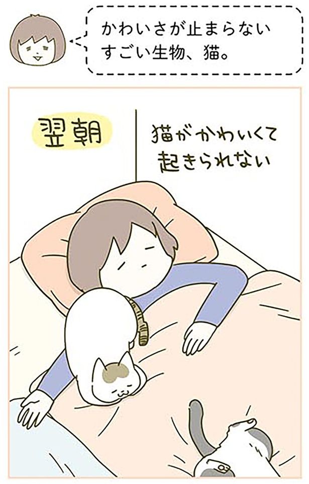 かわいさの罠 （C）卵山玉子／KADOKAWA