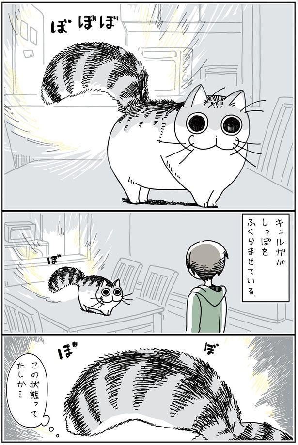 ふくらんだしっぽが気になる （C）キュルZ／KADOKAWA
