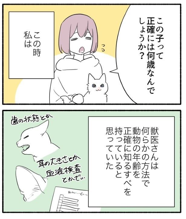 動物を飼う前までは同じように思っていた人も多いだろう 久川はる(@hisakawa_haru)