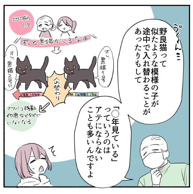 確かに言われてみれば野良猫の年齢を推定するのは難しい!! 久川はる(@hisakawa_haru)