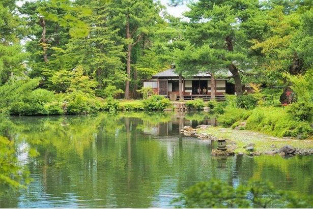 越後新発田藩主・溝口家の下屋敷だった清水園。広い園内に5つの茶室が点在する