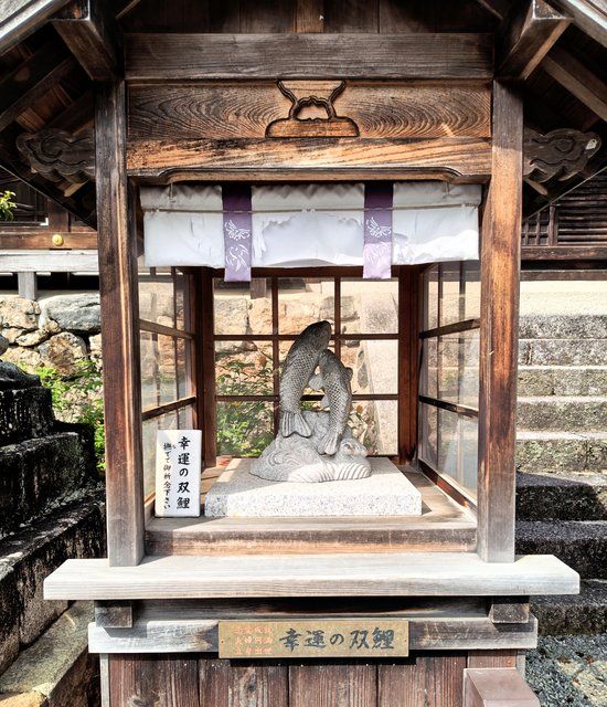 幸運の双鯉