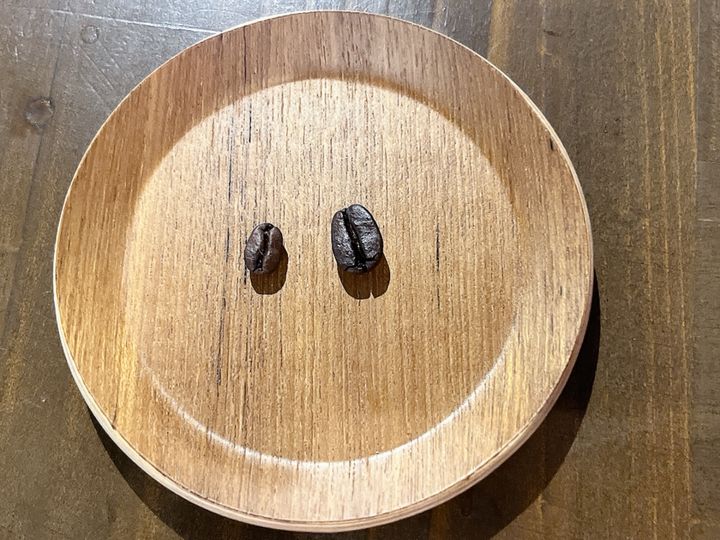 DA'KINE COFFEE BEAN右がDA'KINE農家で育った豆。一般的なものよりも大きく、豊かな味わい