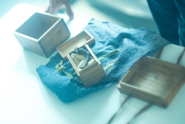 【写真を見る】これが本物の呪物だ！「平家物語」にも登場する鵺(ぬえ)の足のミイラ 撮影/木村篤史