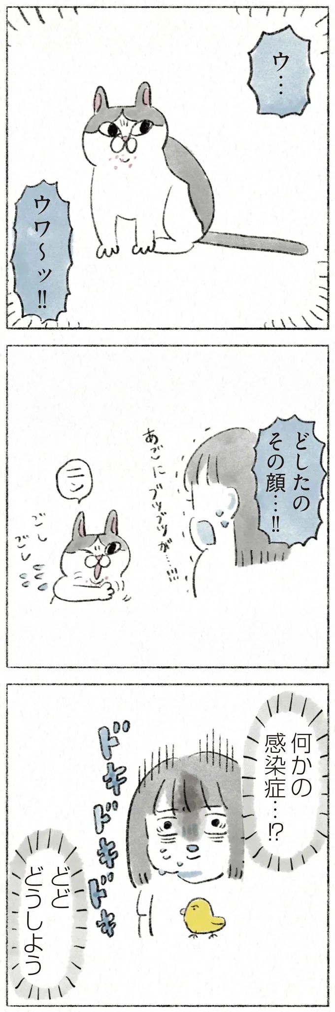11.webp