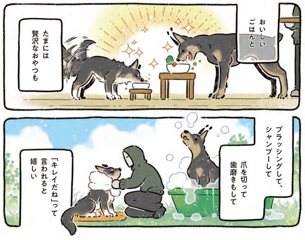 ブラッシングして、シャンプーして （C）ヨシモフ郎／KADOKAWA