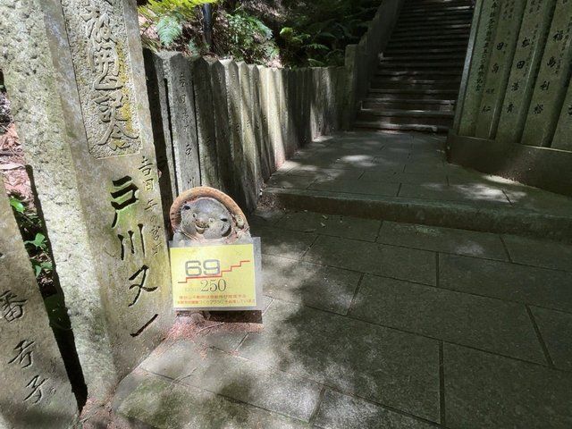  (309686)