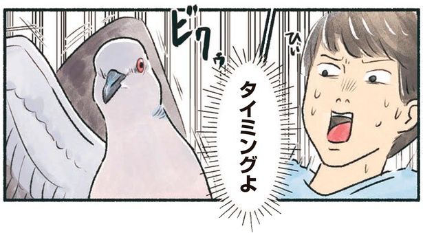 タイミングよ （C）piro piro piccolo／KADOKAWA