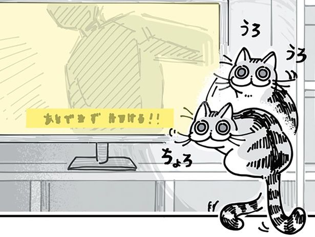 テレビの前でうろちょろ （C）キュルZ／KADOKAWA