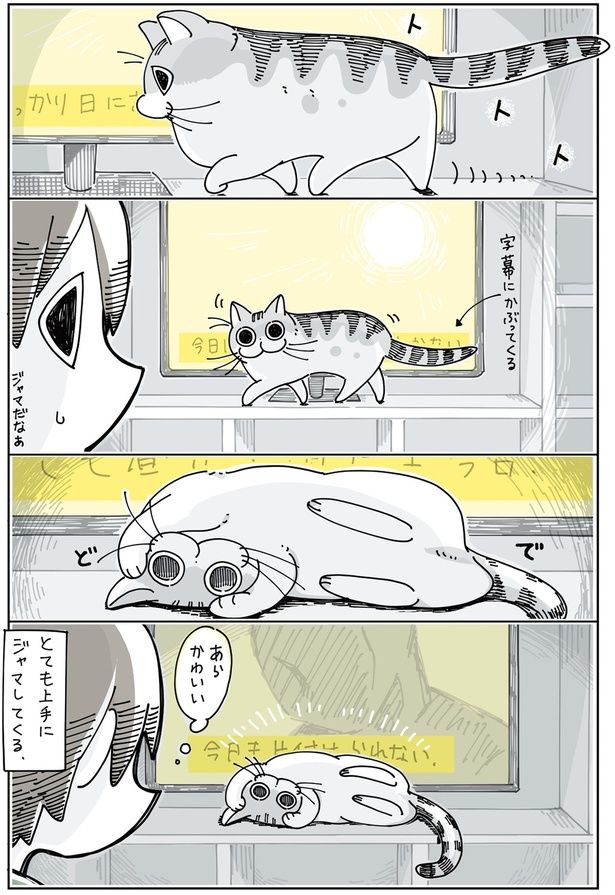 とても上手にジャマしてくる （C）キュルZ／KADOKAWA