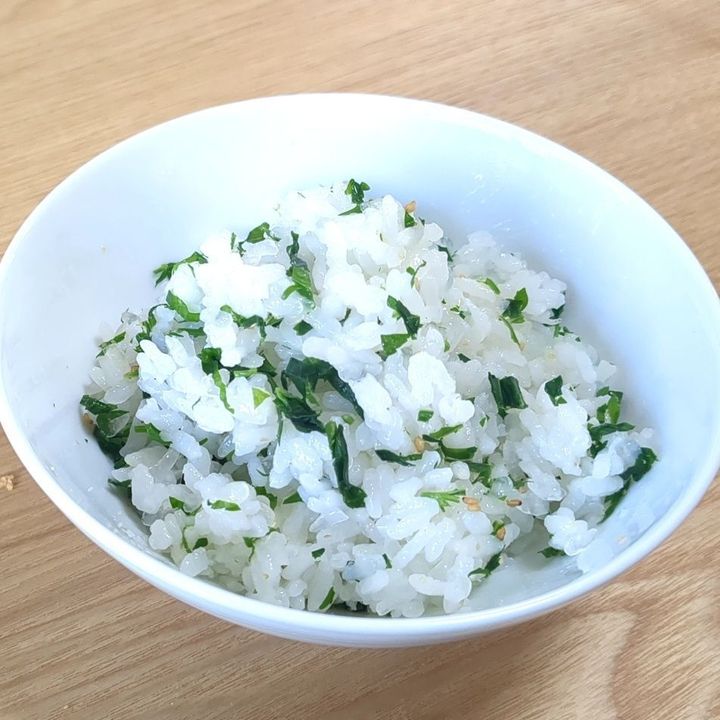 【春の味！】ウコギご飯の素