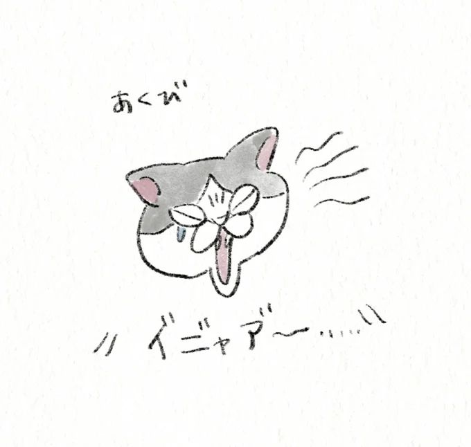 25.webp