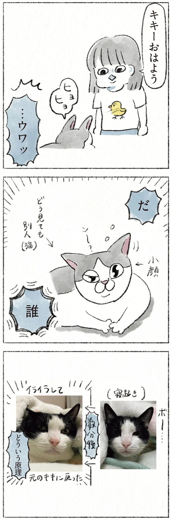 23.webp