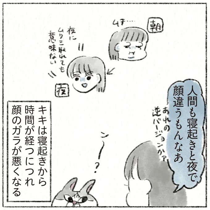 24.webp