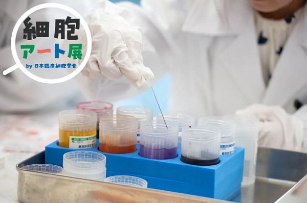 【神奈川県横浜市】「細胞アートクルーズ in YOKOHAMA」で細胞診を楽しく学ぶ！『はたらく細胞』の展示も