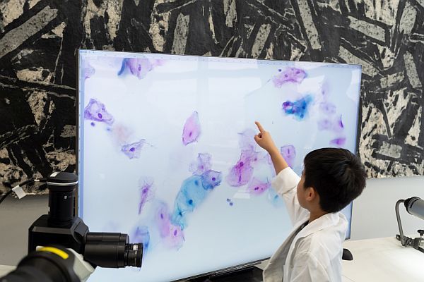 【神奈川県横浜市】「細胞アートクルーズ in YOKOHAMA」で細胞診を楽しく学ぶ！『はたらく細胞』の展示も
