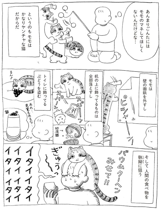 16108695.webp