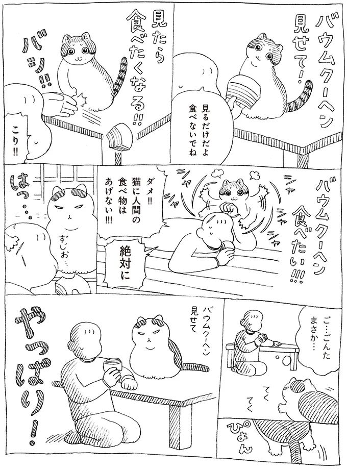 16108697.webp