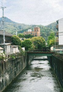 薬用植物園を見学して、もちもちのヨモギパンを食べる日【FUDGENA：おおえさきの週末京都クリップ vol.35】