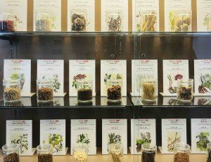 薬用植物園を見学して、もちもちのヨモギパンを食べる日【FUDGENA：おおえさきの週末京都クリップ vol.35】