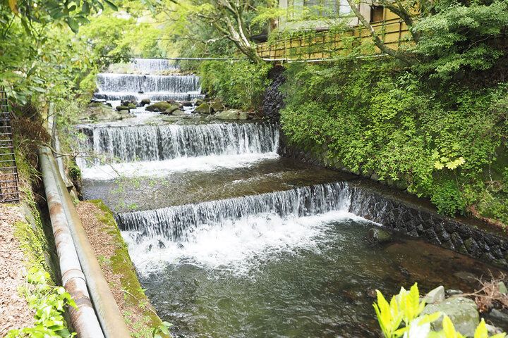 湯河原の森深くで見つけた♪ 水辺の隠れ家で過ごす、癒やしのランチ＆カフェタイム「cafe haku」