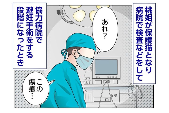 【マンガ・老猫日誌＃70】人と長く暮らしてきたのかも〜思い出の老猫日誌・桃姐と小論