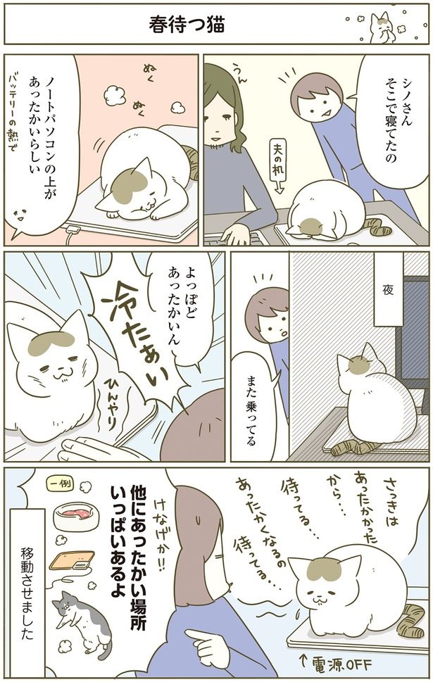 ノートパソコンの上があったかいらしい （C）卵山玉子／KADOKAWA