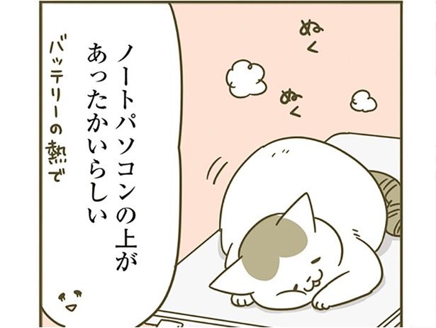 ぬくぬく （C）卵山玉子／KADOKAWA
