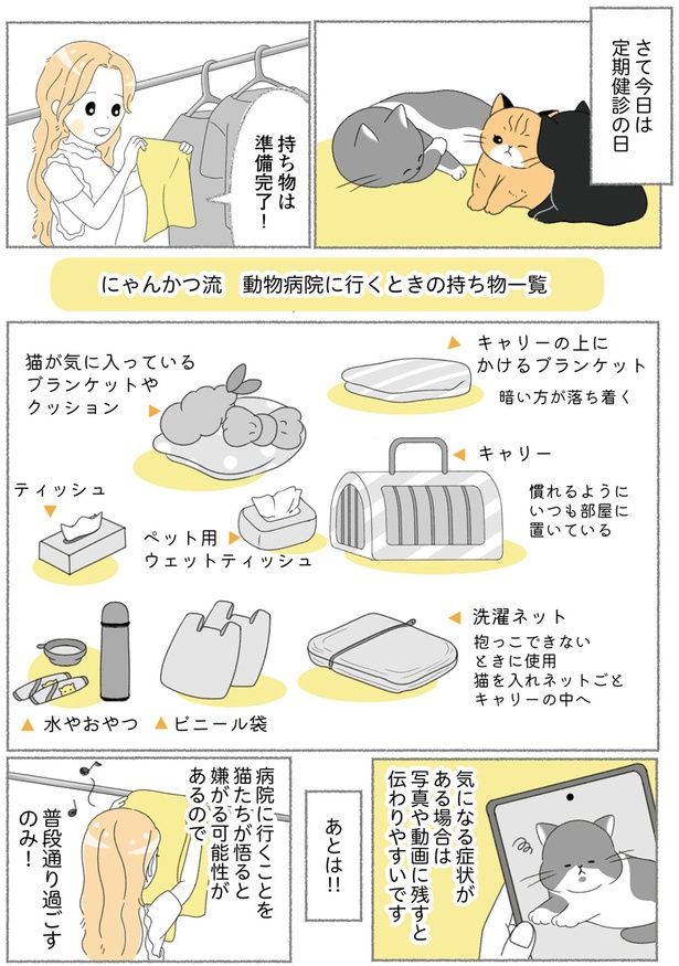 定期健診の日 （C）ゆきよみ、にゃんかつ／KADOKAWA