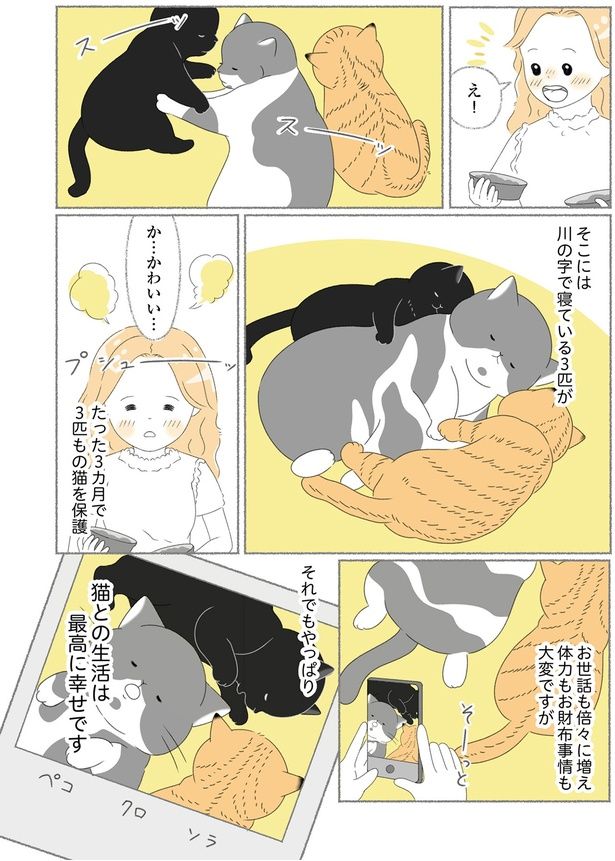 3カ月で3匹もの猫を保護 （C）ゆきよみ、にゃんかつ／KADOKAWA