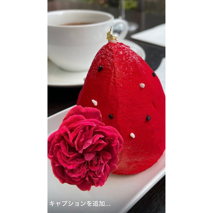 ペーストした写真