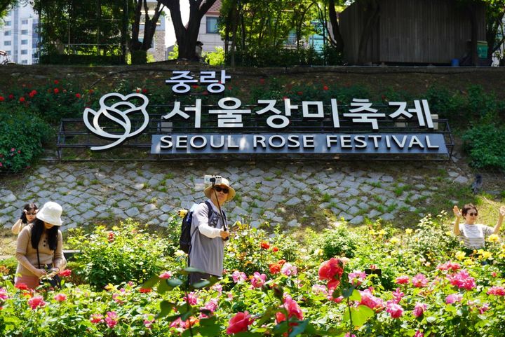 自撮り棒で写真を撮るアジョッシ（おじさん）も。 韓国では人目を気にせず楽しむ人が多いように感じます。