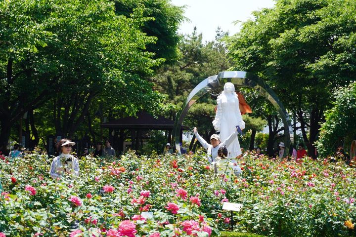 大きく手を挙げるのは鉄板のようです。