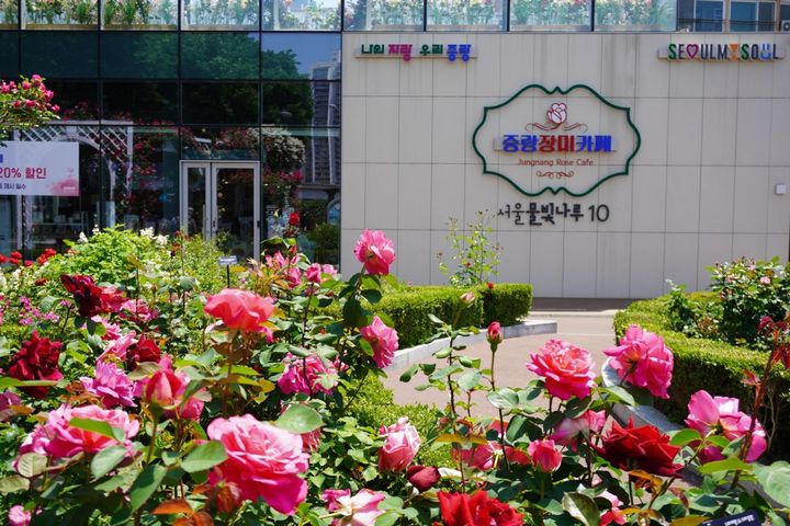外見は普通のカフェですが、一歩入るとびっくり。地下に降りる階段は造花のバラでいっぱいです。