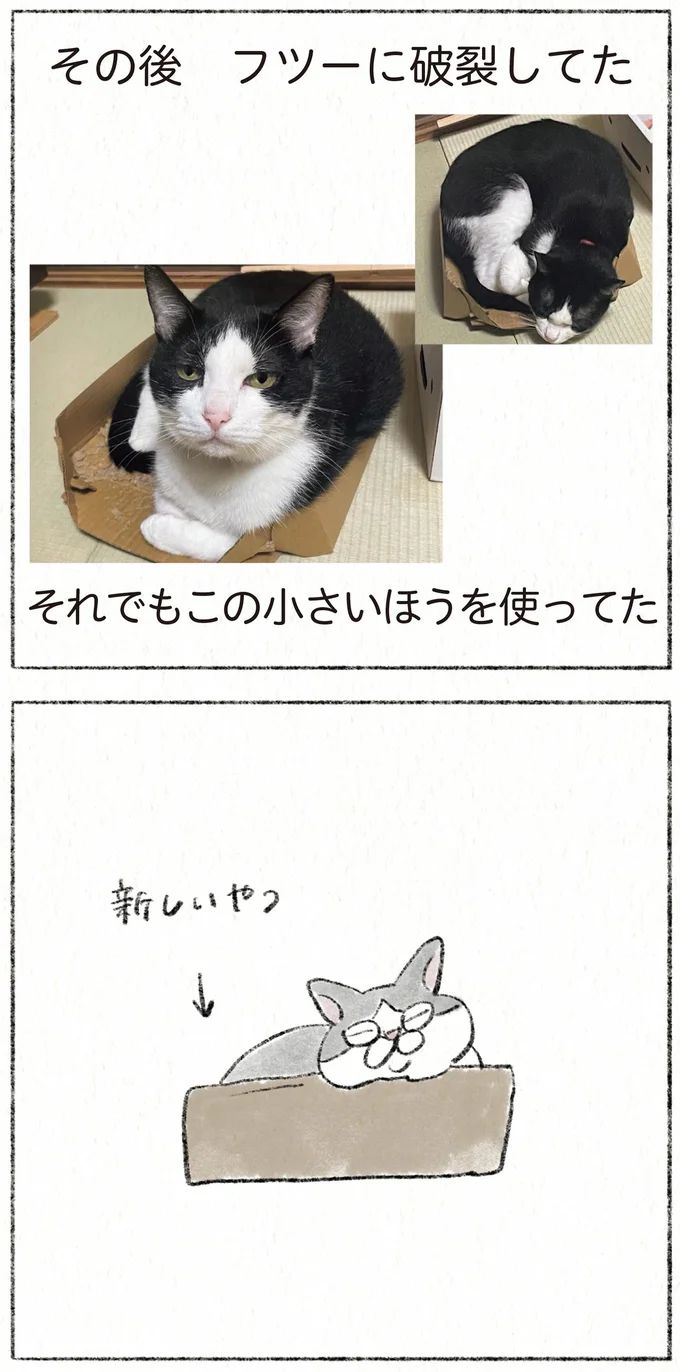 33.webp