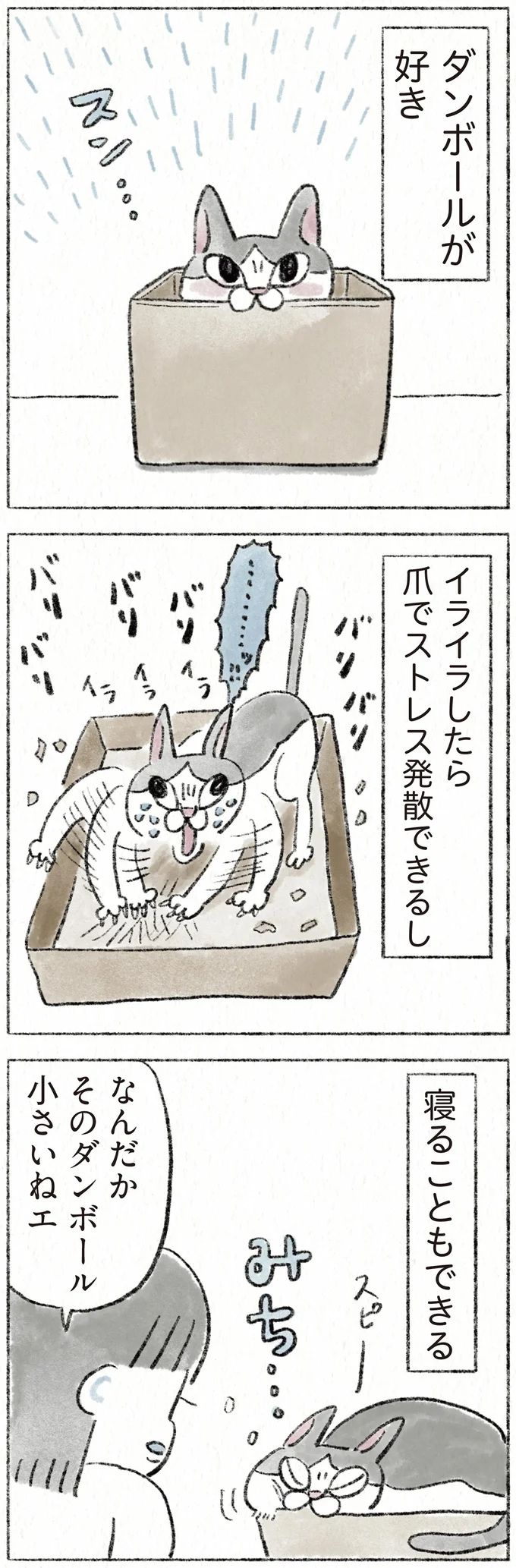 31.webp