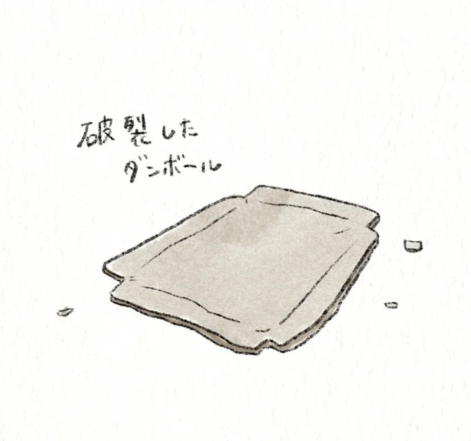 34.webp