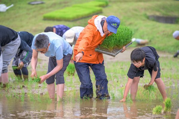 【新潟県妙⾼市・東京都墨田区】ロッテアライリゾートで「星空米」田植え体験ツアー開催！特別宿泊プランや連動企画も