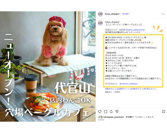 愛犬と行ける店・スポットを紹介！Instagramメディア「東京DOG SPOT」が本格始動