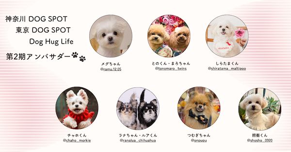 愛犬と行ける店・スポットを紹介！Instagramメディア「東京DOG SPOT」が本格始動