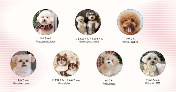愛犬と行ける店・スポットを紹介！Instagramメディア「東京DOG SPOT」が本格始動
