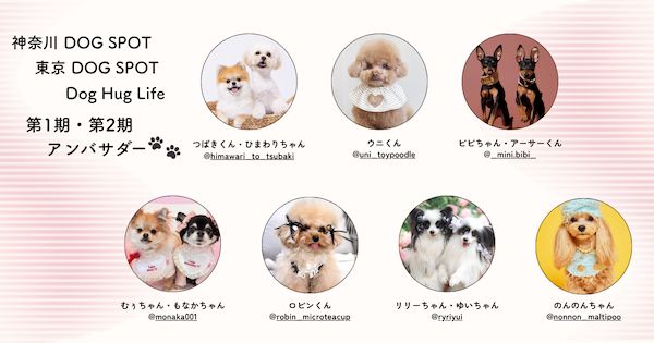 愛犬と行ける店・スポットを紹介！Instagramメディア「東京DOG SPOT」が本格始動