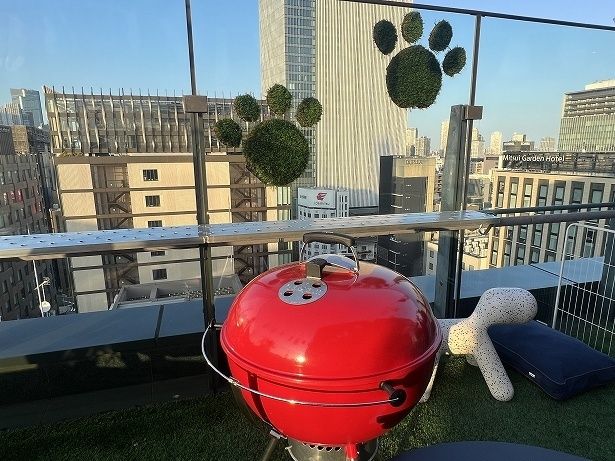 人工芝で作ったワンちゃんの“足跡”もかわいい