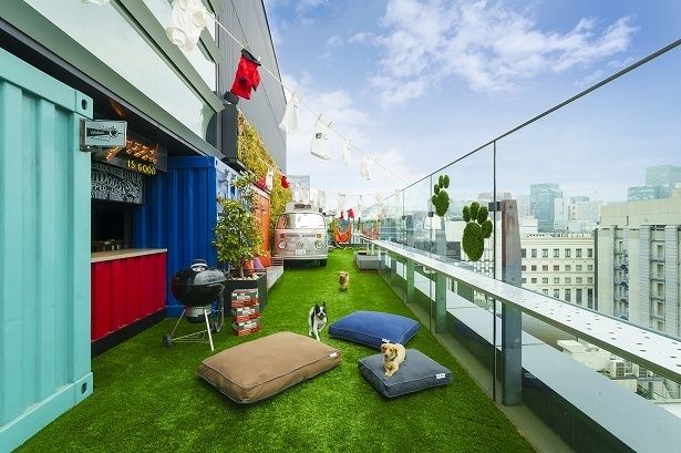「アロフト東京銀座」の屋上にドッグラン誕生。ドッグウェアクリエイター(R)Yumikoさんによるハンドメイド作品が飾られている