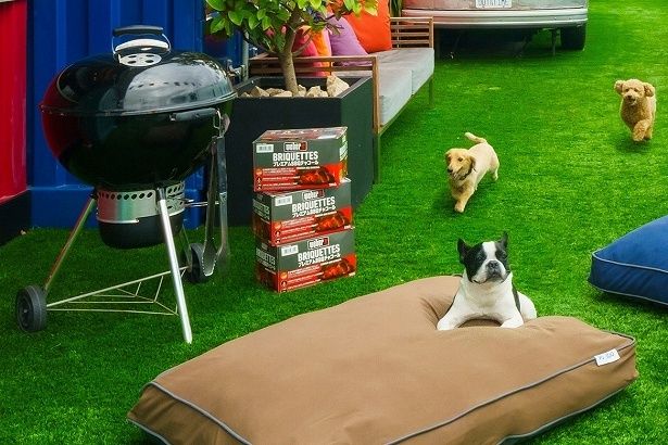 【写真】ドッグランの中には、Yogibo独自のファブリックとビーズで作られたわんちゃん用の贅沢なベッド「Doggybo」が配置されている