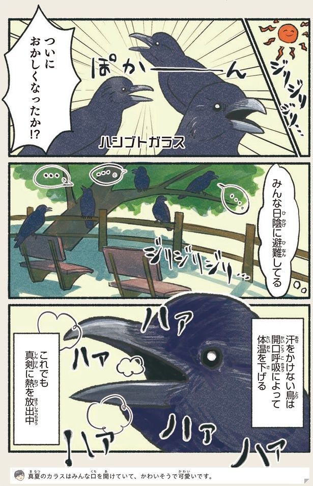 ついにおかしくなったか！？ （C）piro piro piccolo／KADOKAWA